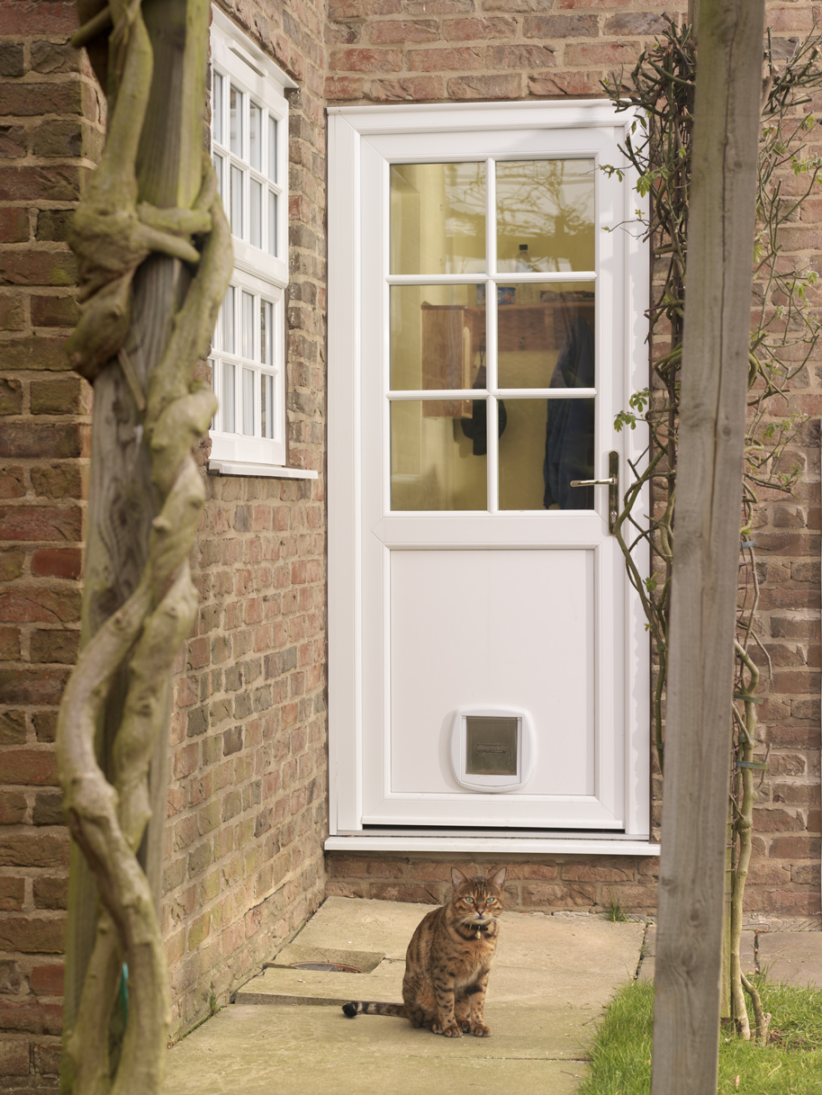 Upvc back door clearance with cat flap