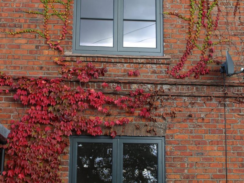 Prices Windows West Sussex